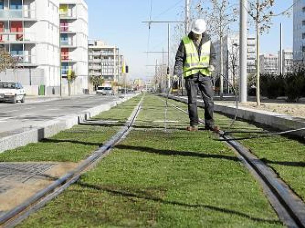 El paseo de Los Olvidados estrenó ayer su césped natural.