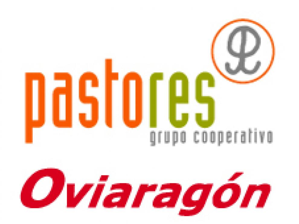 Logotipo de Oviaragón-Grupo Pastores