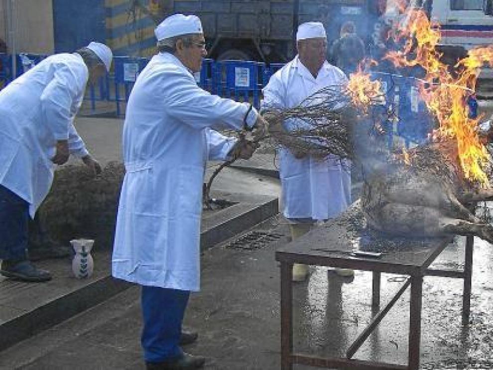 Los matachines quemaron al cerdo, ya sacrificado, con aliagas para quitarle todo el pelaje.