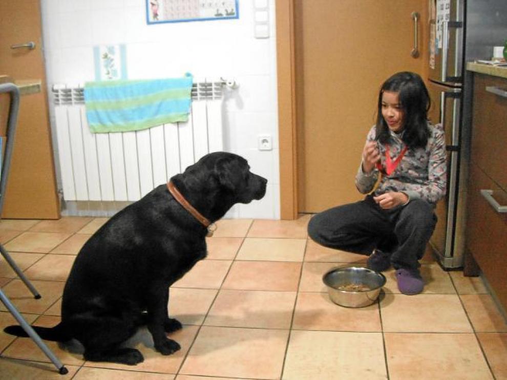 La perra espera sentada a que Irene le indique, con un silbato, que puede empezar a comer.