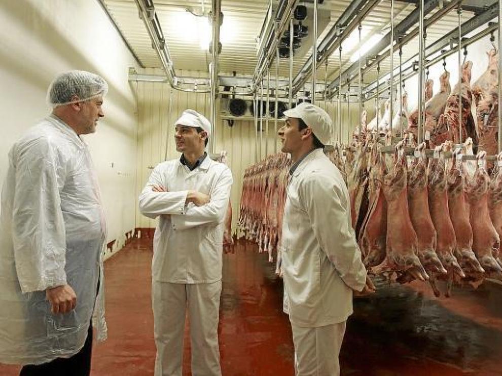 Fernando Lafuente (i) conversa con dos responsables del matadero de Huesca en una de las cámaras.