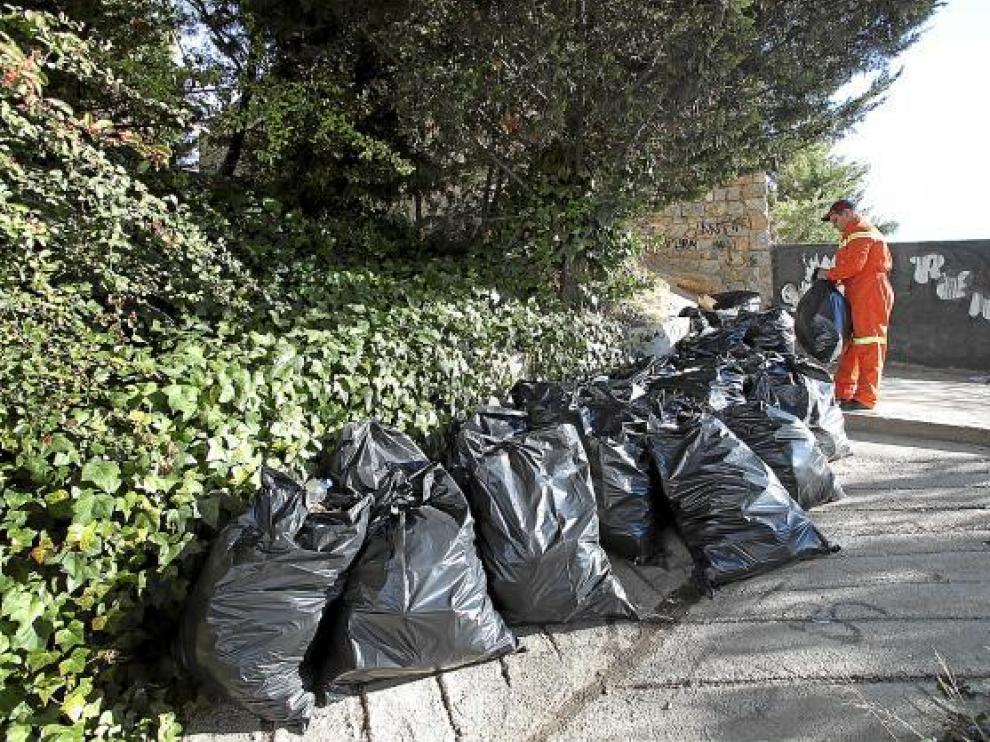 Decenas de sacos con basura procedente del botellón, amontonados en la ladera bajo el viaducto.