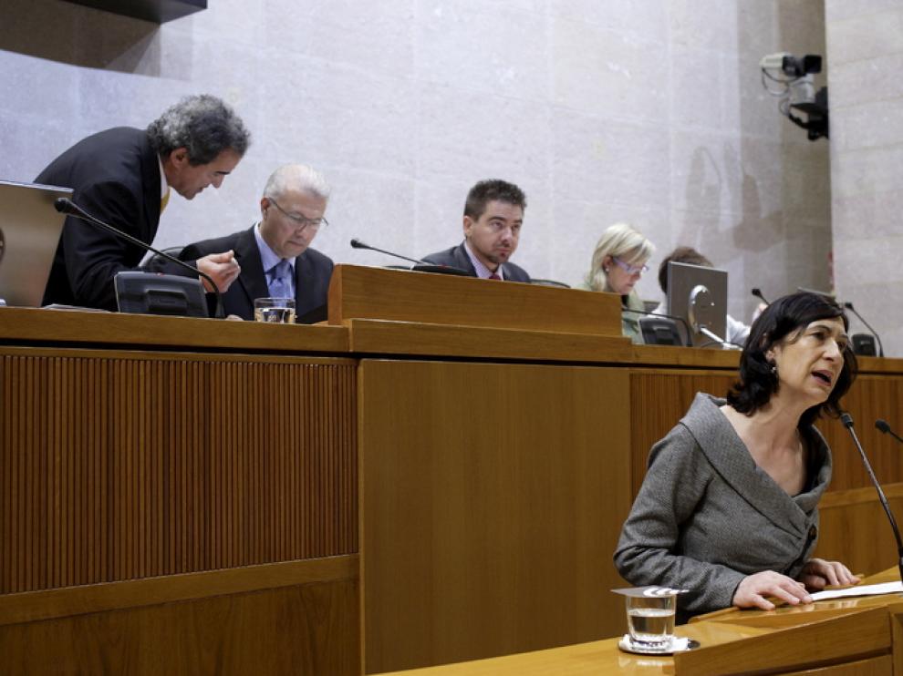 La consejera de Servicios Sociales y Familia Ana Fernández