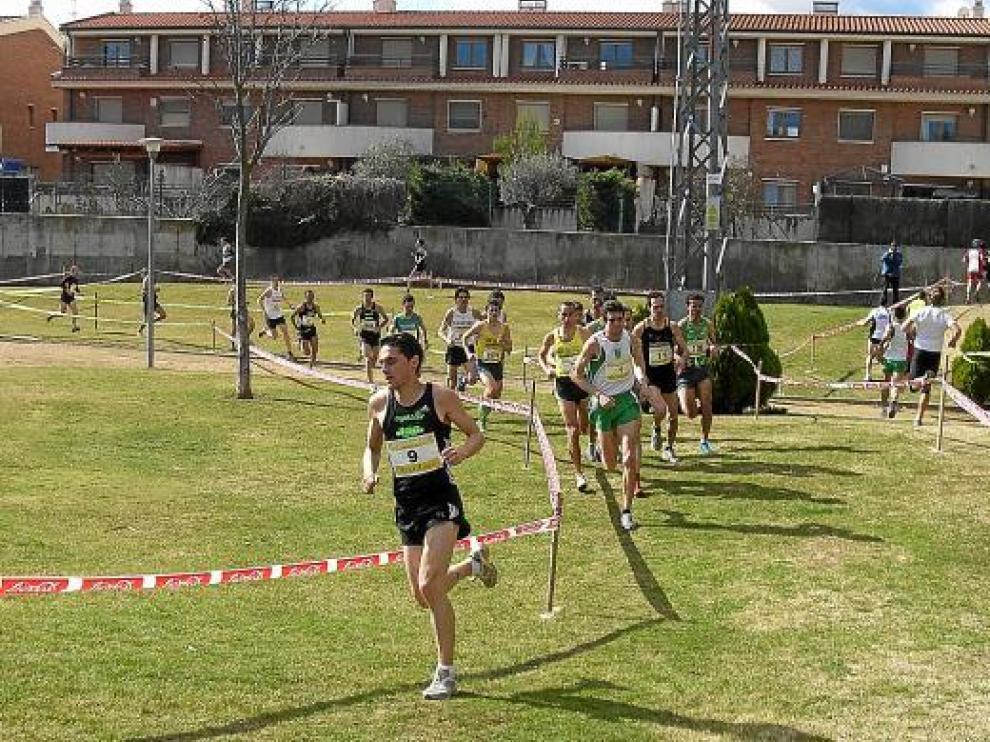 Un momento de la carrera masculina del XII Cross Ciudad de Calatayud disputado ayer.