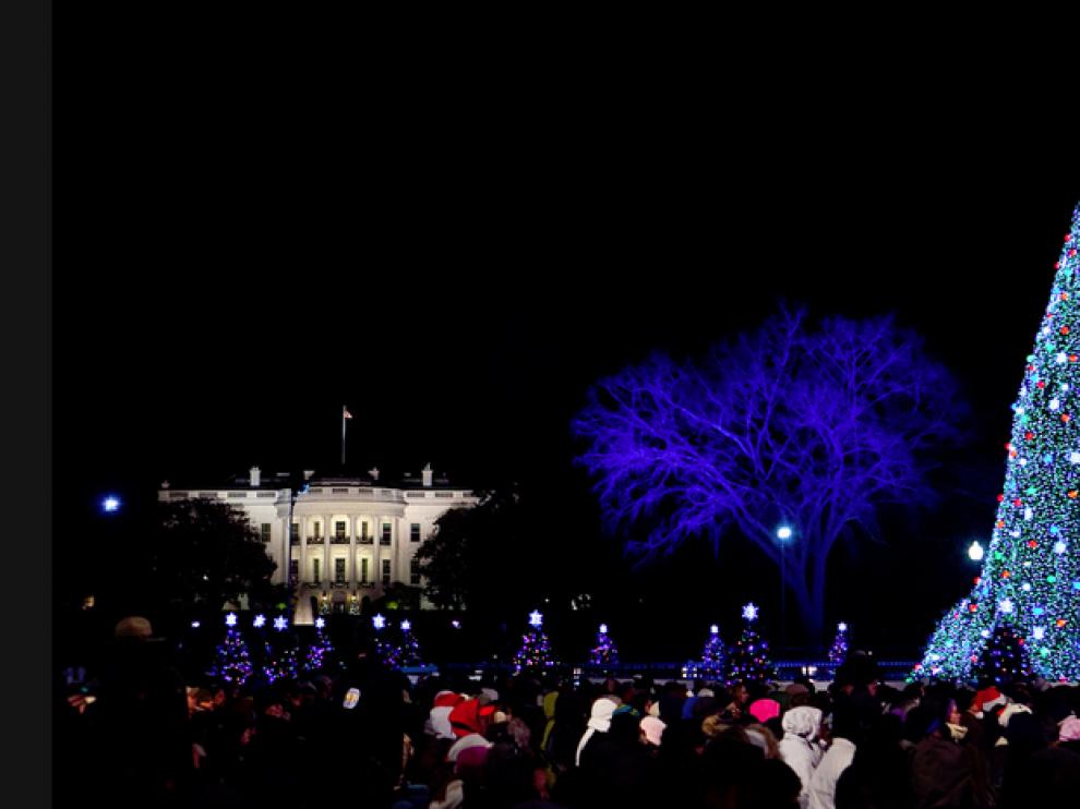 El árbol de la Casa Blanca