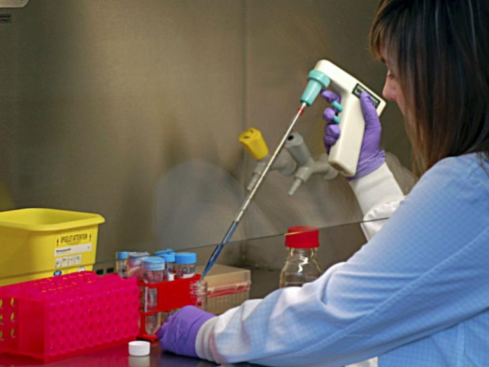 Investigación sobre la anemia de Fanconi