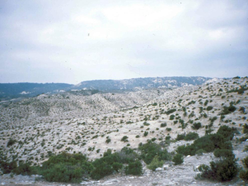 Estepa, al sur de Torrero