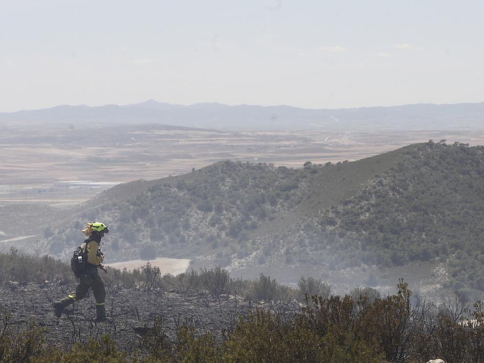 Extinción de un incendio forestal en La Muela el año pasado