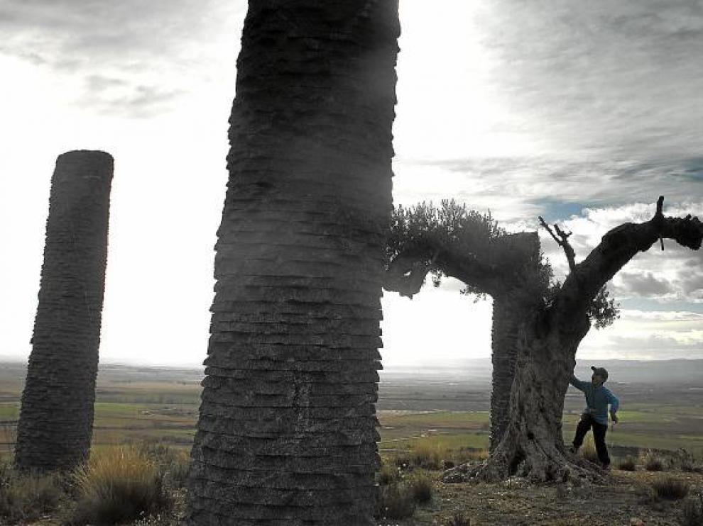 Pieza artística 'Árboles como arqueología', de Fernando Casás, ubicada en un altozano sobre el paisaje estepario de la localidad de Piracés.
