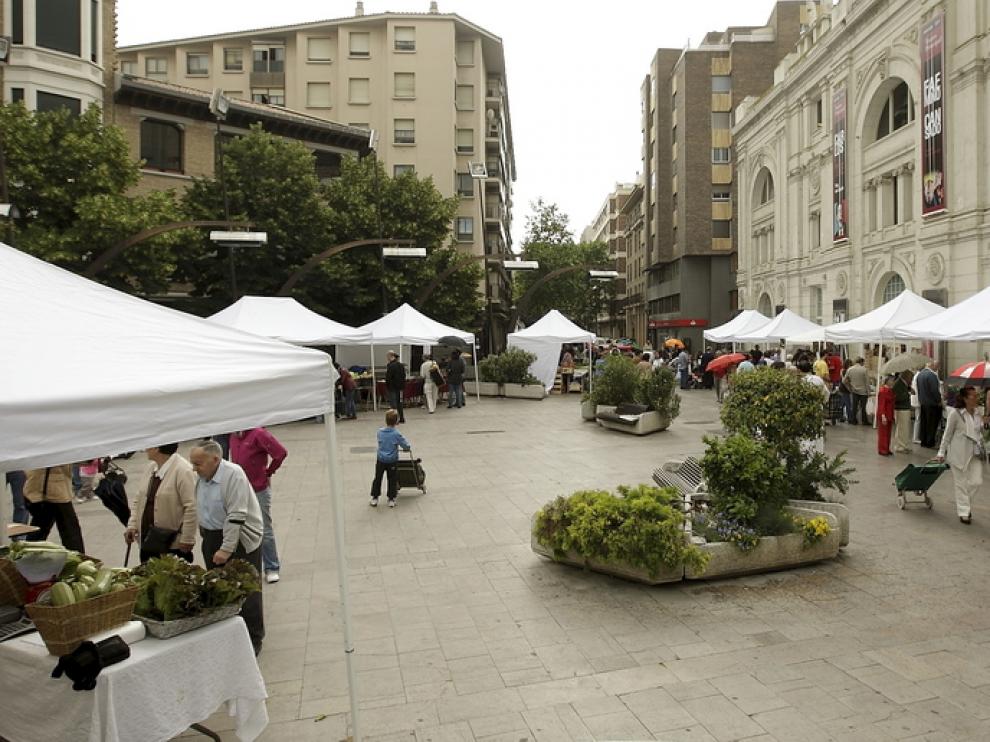 Muestra Agroecológica de la plaza Sinués.