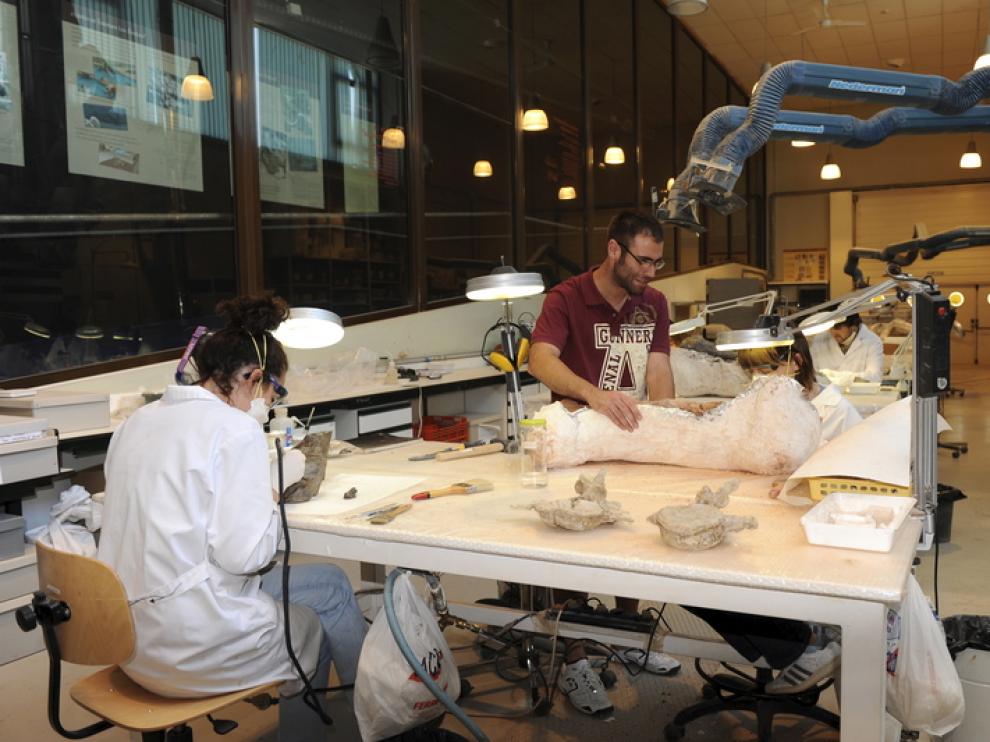 Francisco Gascó con una enorme pieza de dinosaurio, en el laboratorio de Dinópolis.