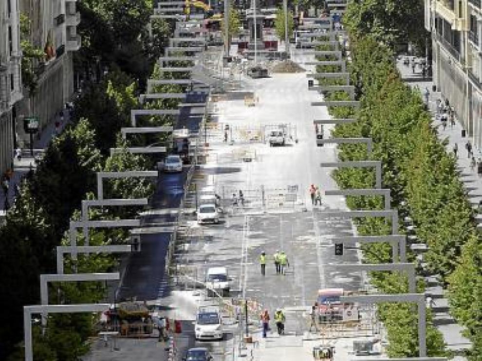 Denuncia los daños causados en los árboles del trazado