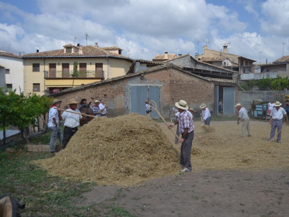 Los hombres realizaron varias actividades agrícolas durante todo el día festivo.