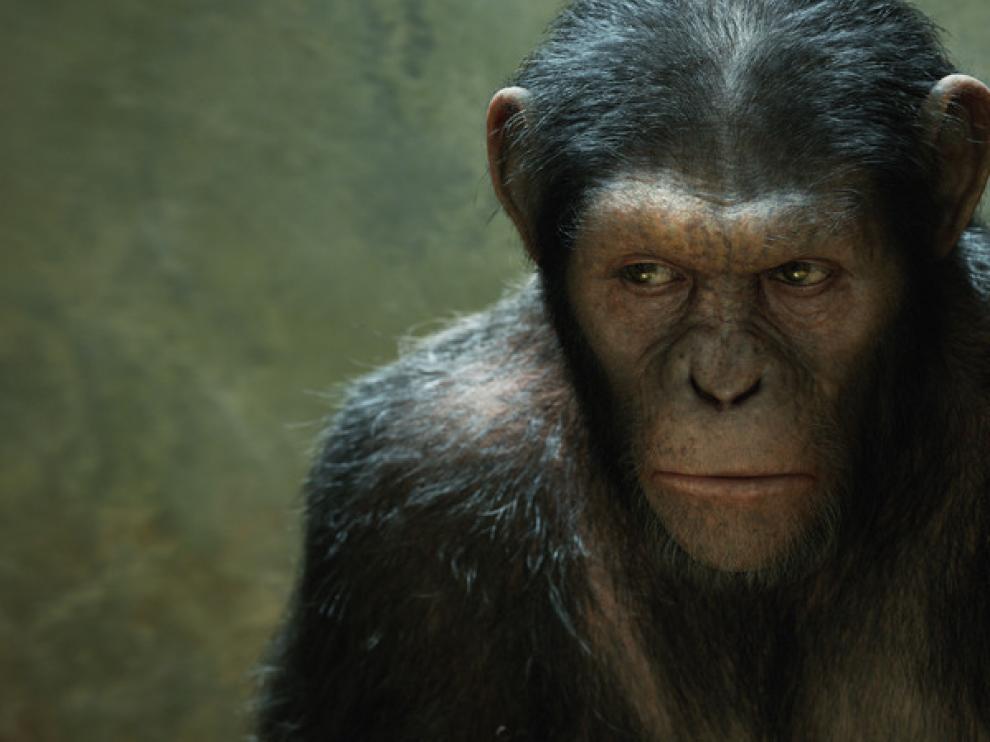 César (Andy Serkis), imagen de archivo.