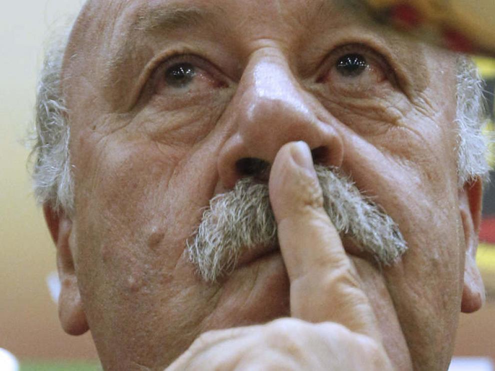 El seleccionador nacional, Vicente del Bosque