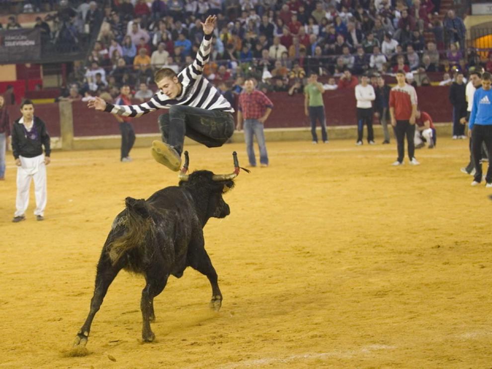 Las vaquillas vuelven al ruedo durante las fiestas del Pilar