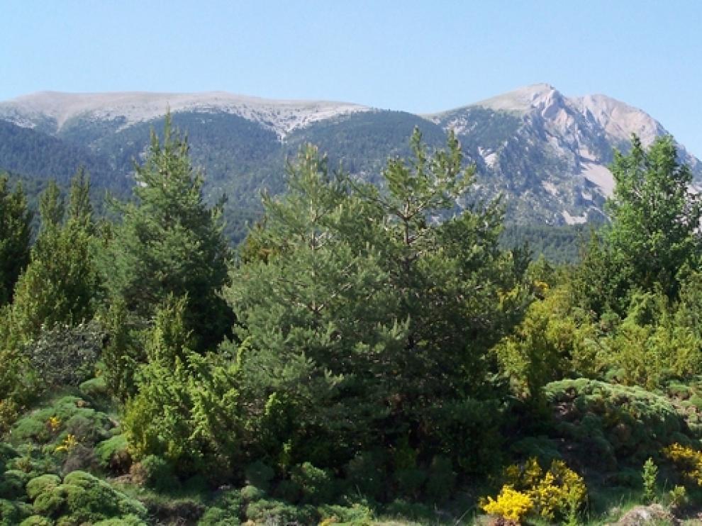 Vista de la sierra oscense de Guara