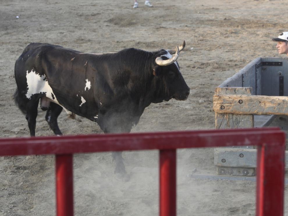 'Ratón' ha matado ya a tres personas.