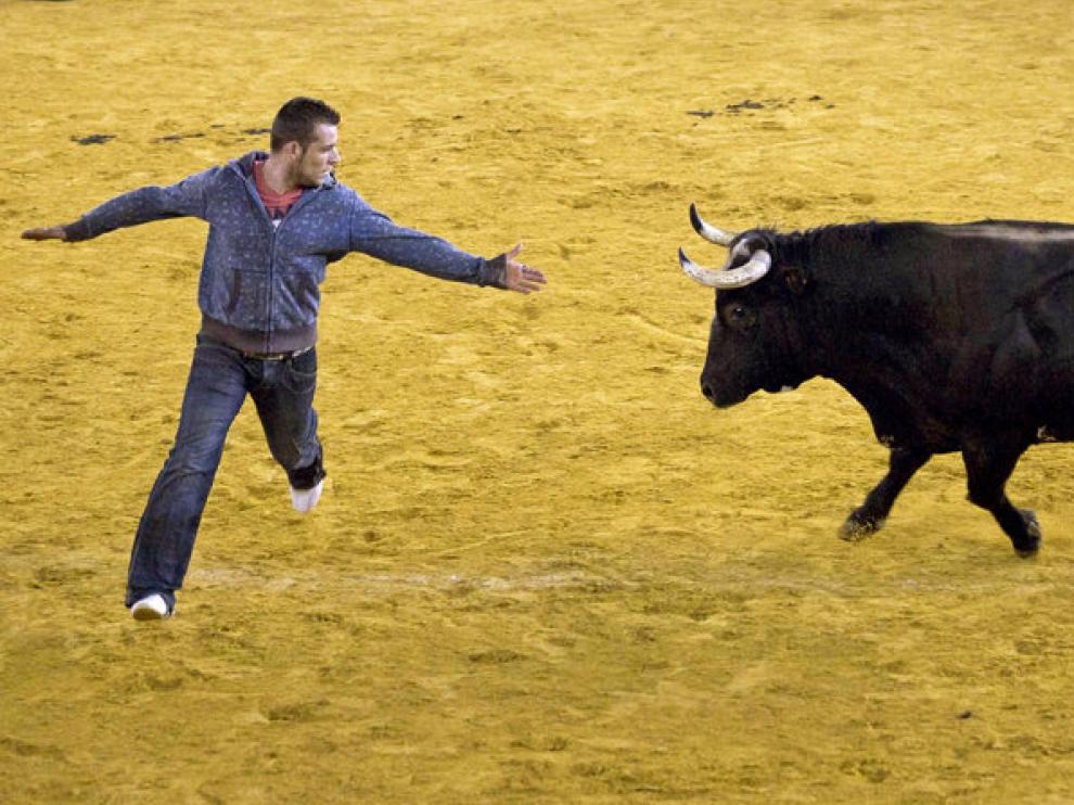 Una imagen del toro 'Ratón'