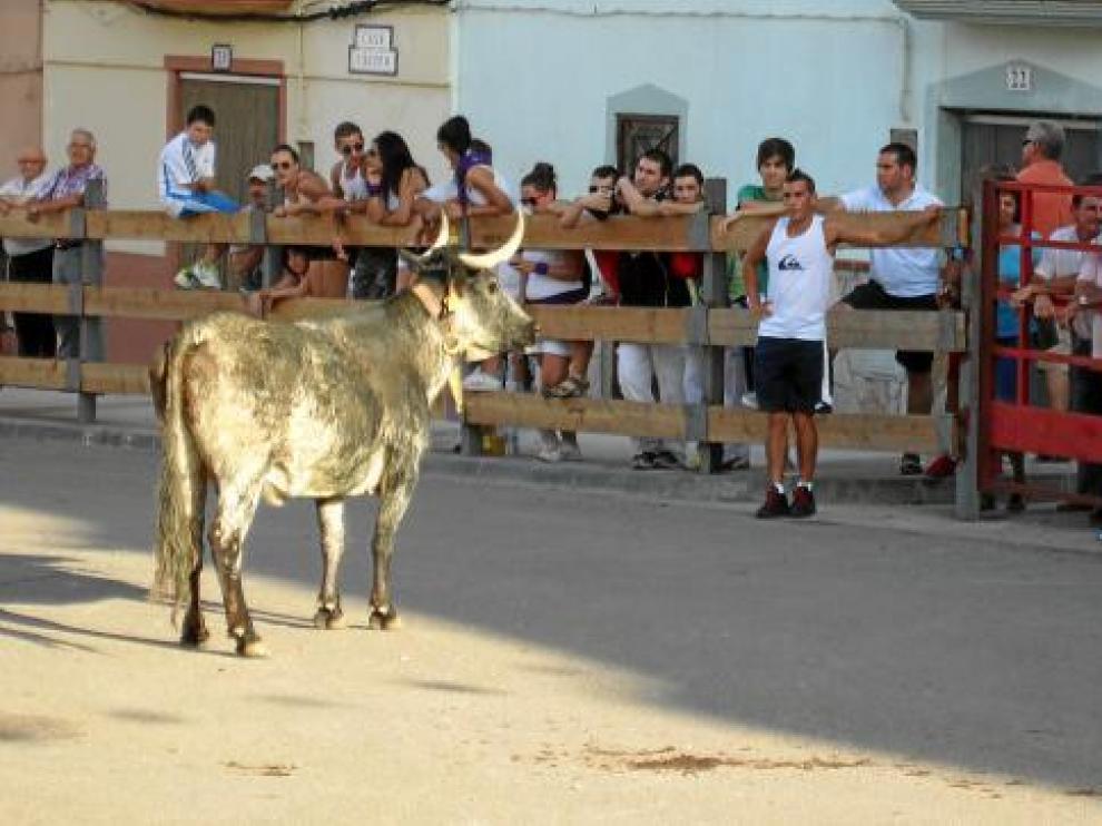 Los festejos taurinos son una de las actividades preferidas de los castejoneros.