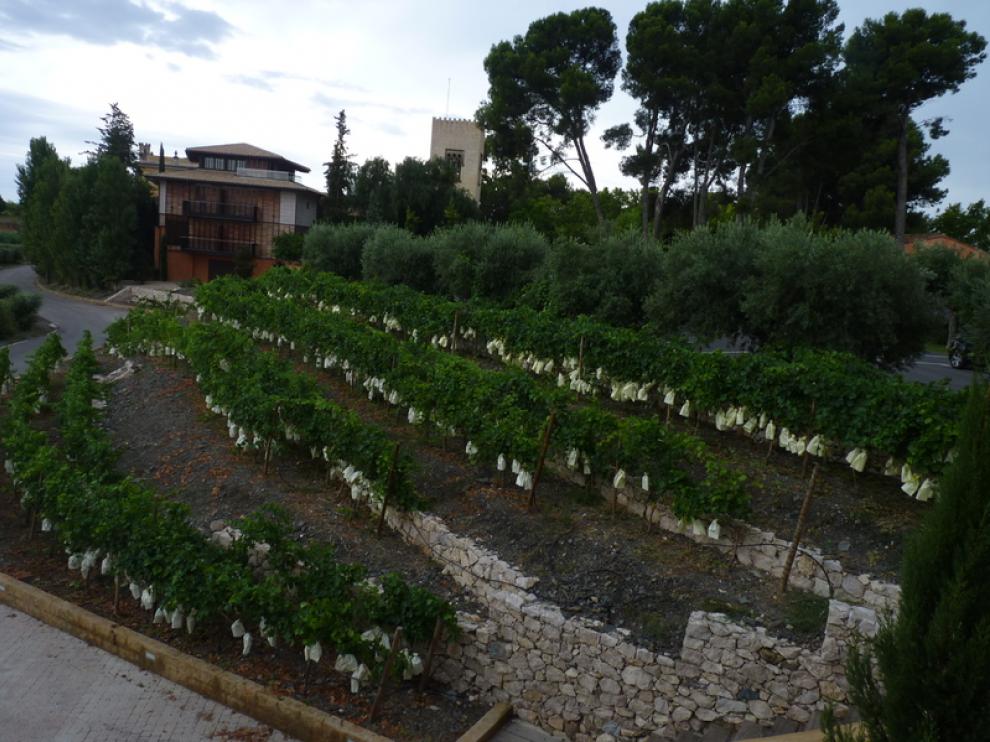 Imagen de La Boella (Tarragona)