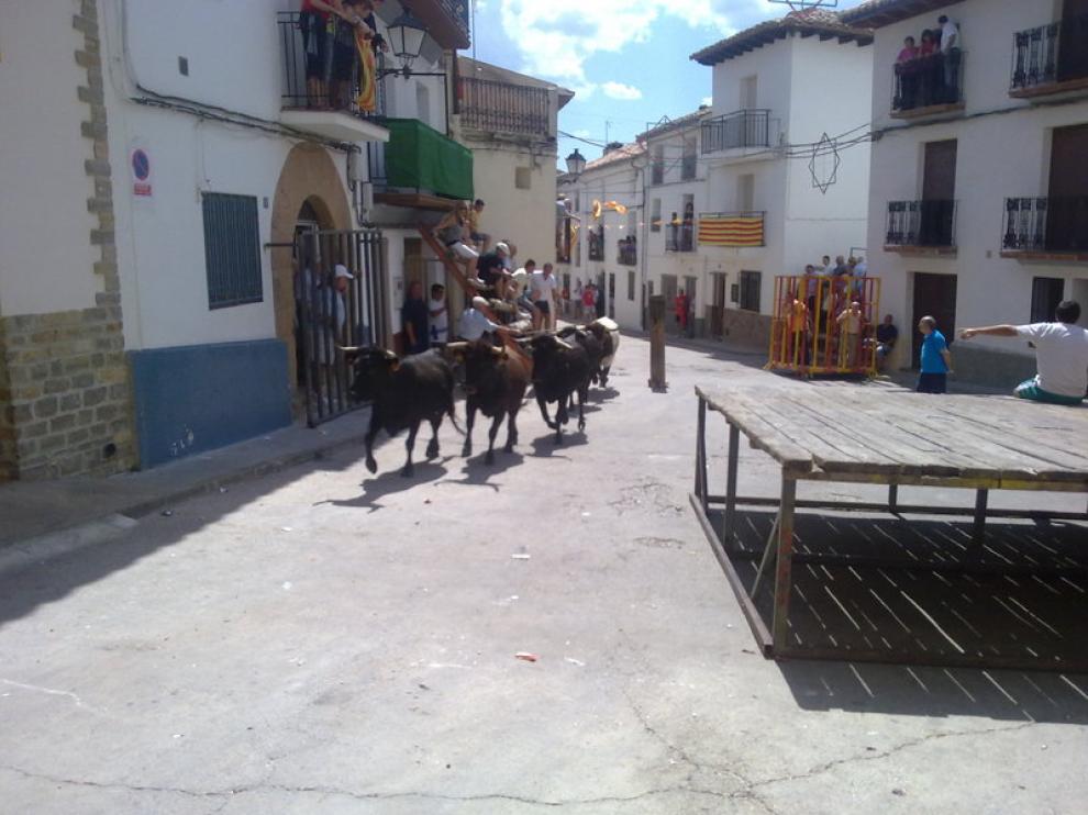 Reses bravas por las calles de San Agustín.