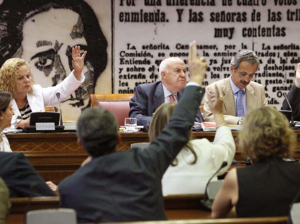 La Comisión Constitucional del Senado durante la votación