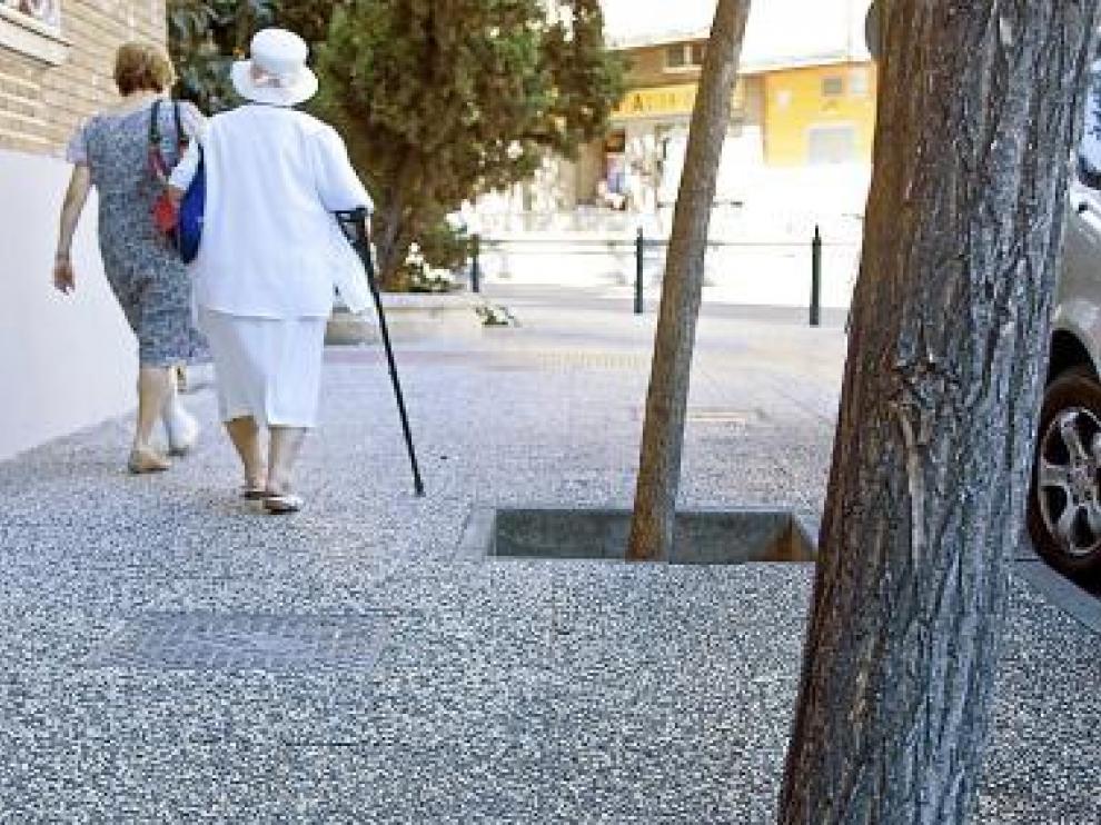 Algunos alcorques tienen hasta 30 centímetros de profundidad.