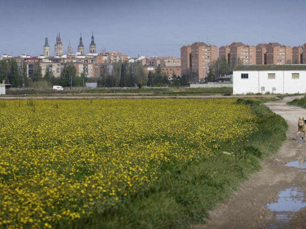 Huerta de Zaragoza para Expo paisajes