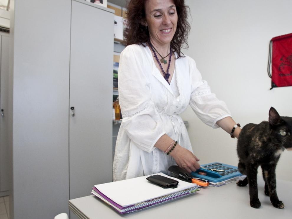 La gata rescatada todavía está asustada