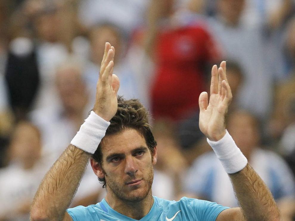 Del Potro, tras ganar en semifinales a Djokovic