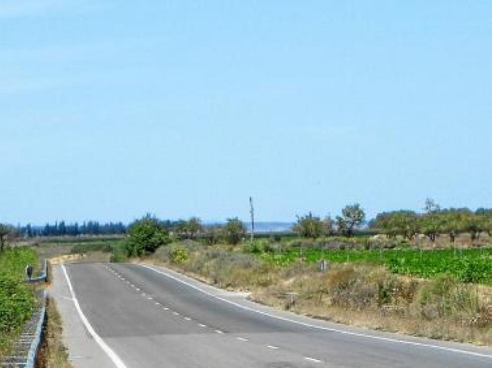 Un jabalí muerto tras la colisión con un coche cerca de Sariñena.