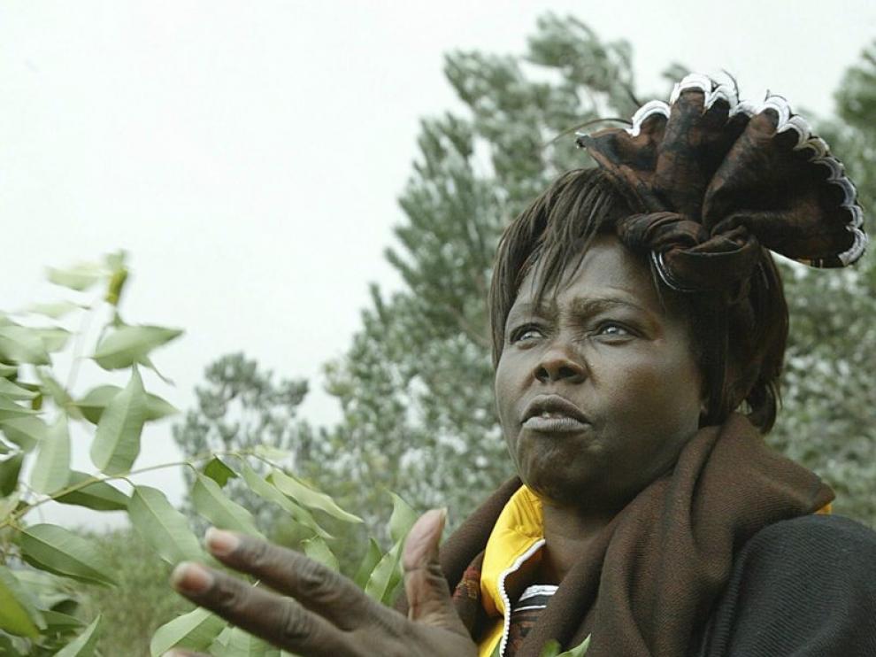 Wangari Maathai