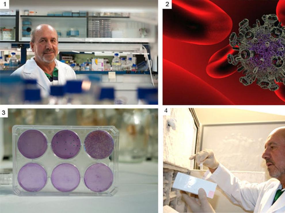 Imágenes de la investigación