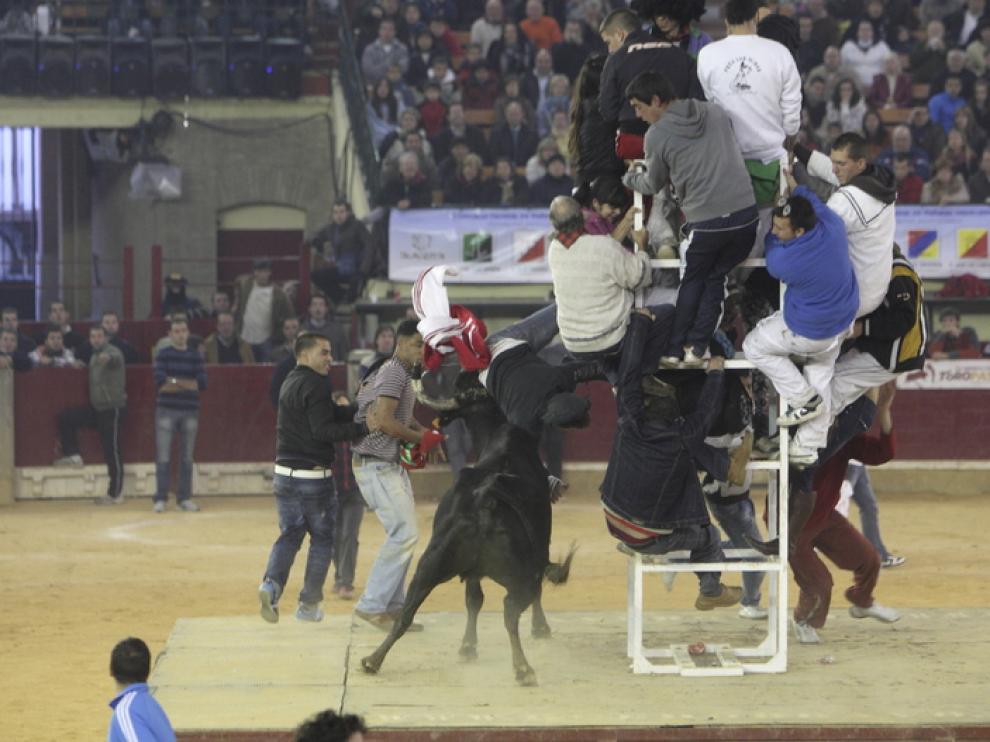Un salto en el concurso de recortadores del año pasado en la plaza de la Misericordia.