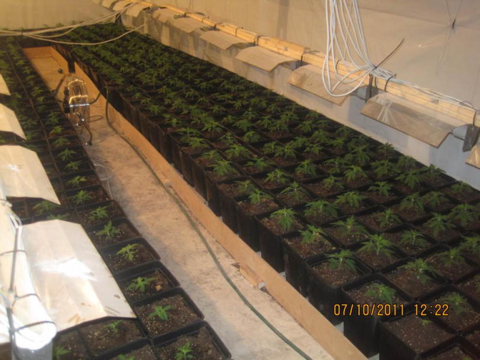 El invernadero estaba dotado de todo tipo de tecnologías para favorecer el crecimiento de la marihuana.