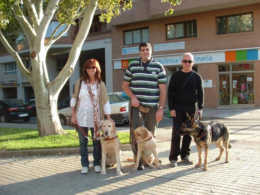 De izquierda a derecha, Pilar Torres y su perro 'Hero', Sergio Brau y 'Bánder' y Ricardo Espierre con 'Geíser'