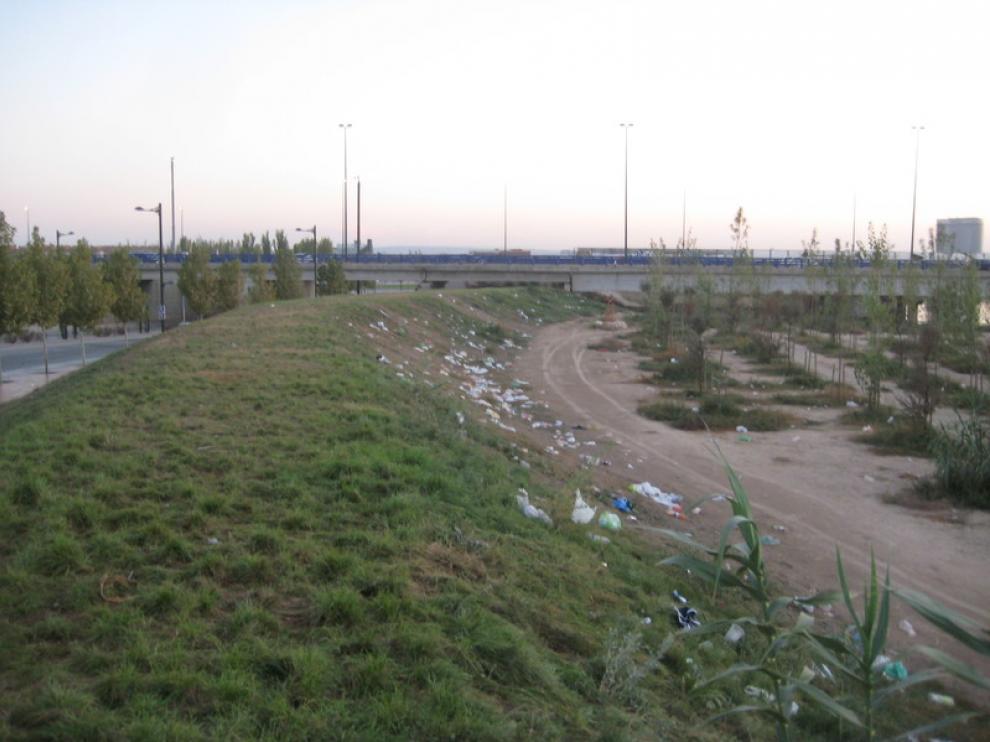 Residuos en la Avenida de Ranillas, frente a Interpeñas