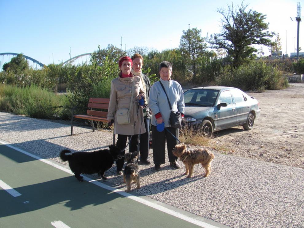 Unas vecinas pasean a sus perros por Las Fuentes