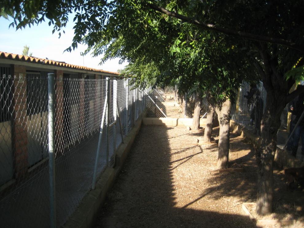 El nuevo Centro de Protección de Animales