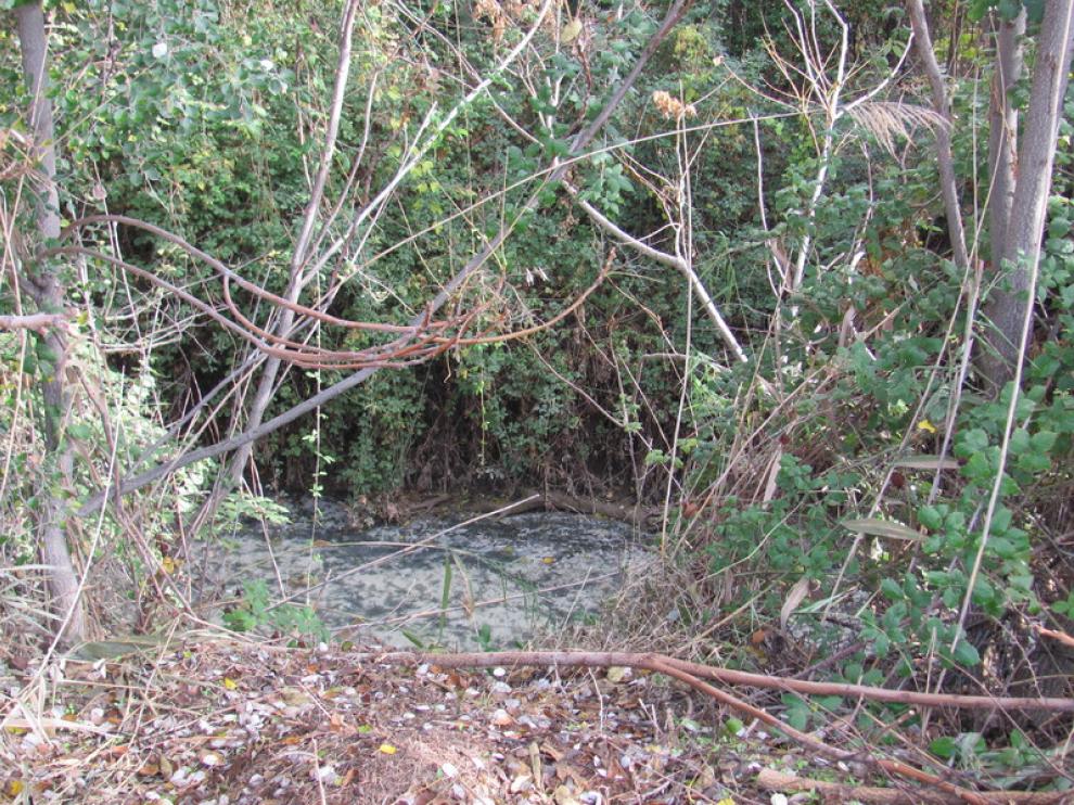 Suciedad y dejadez en las riberas del Huerva a su paso por Santa Fe