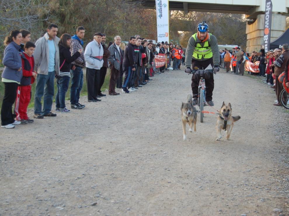 XX Travesía de Monegros con Perros de Tiro