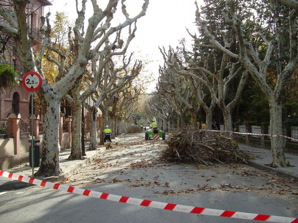 Las brigadas municipales en plena labor la mañana de ayer en la calle del Parque.