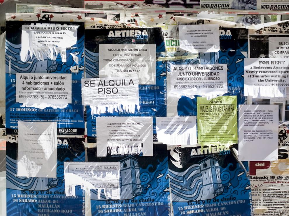 Imagen de archivo de anuncios de alquiler de pisos en la Universidad de Zaragoza.