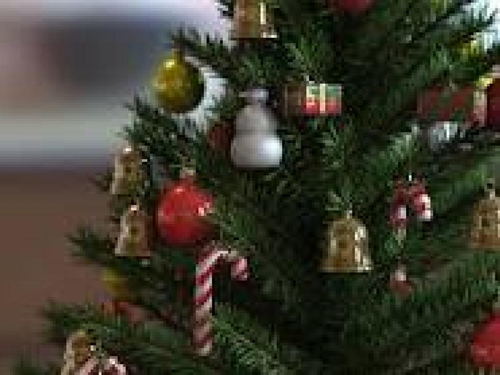 El árbol de Navidad puede tener una segunda vida