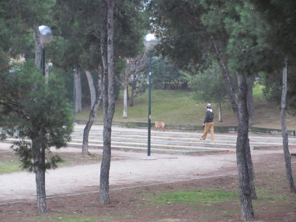 Los excrementos de los perros se han convertido en un problema para muchas ciudades