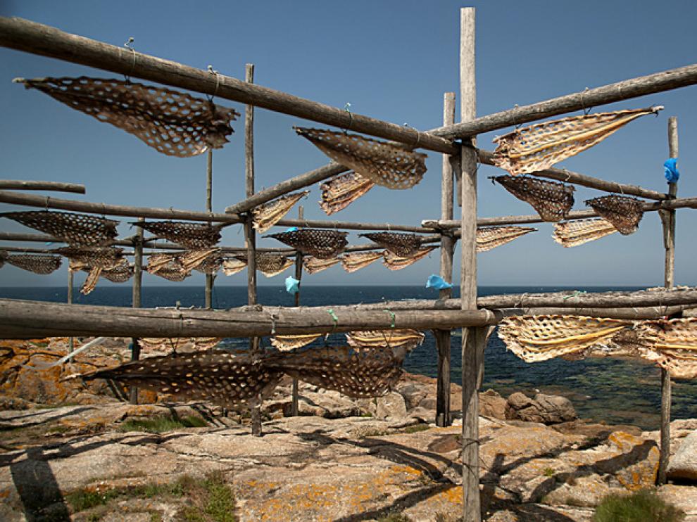 Secadero de congrios en Muxía (La Coruña)