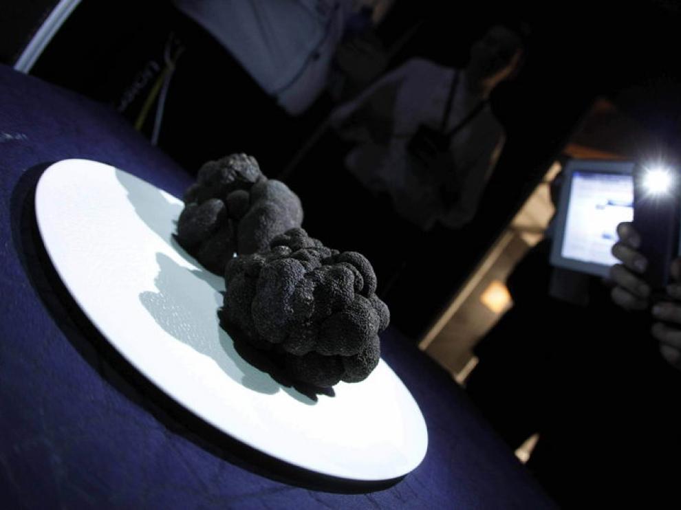 Muestra de trufa de la Asociación de Truficultores de Teruel, en Madrid Fusion
