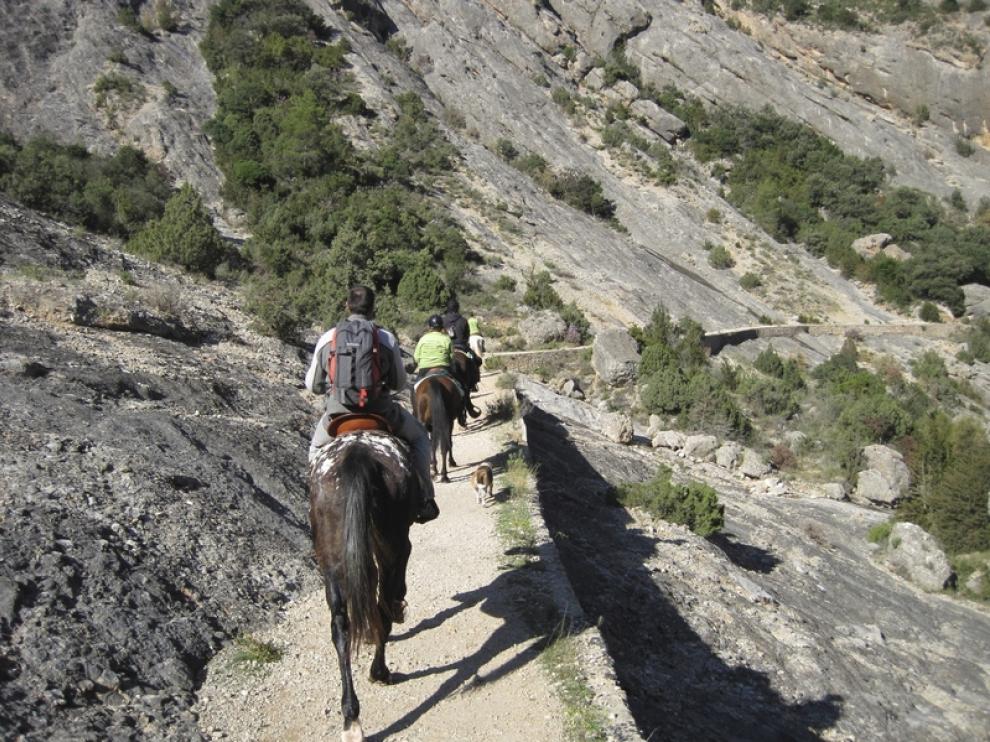 Medio rural