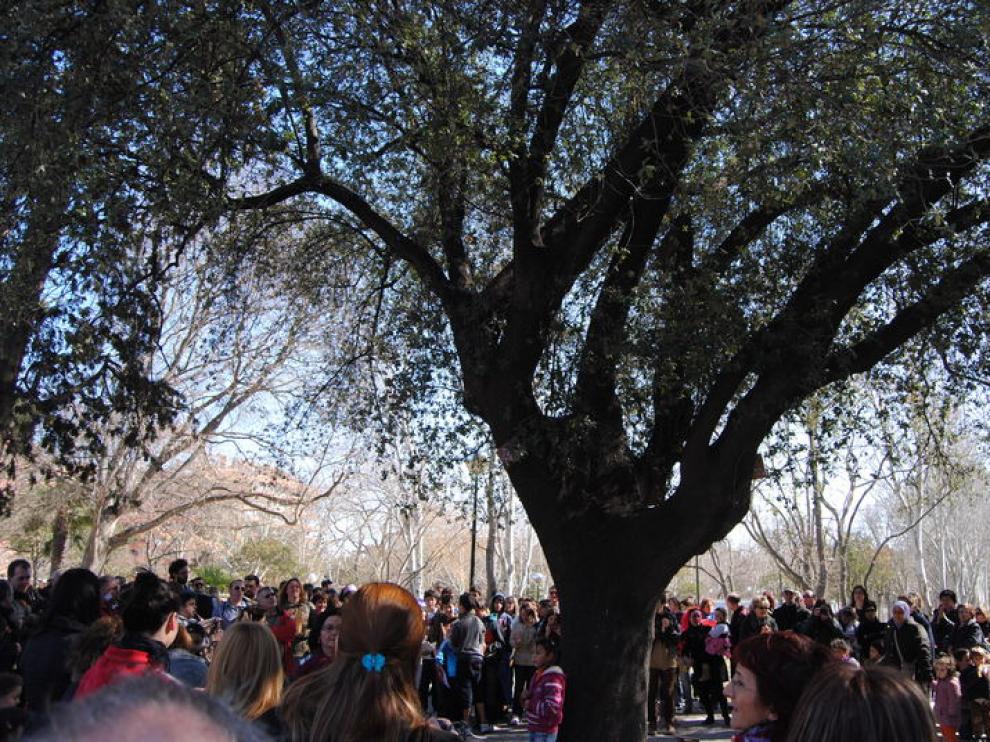 La encina del parque Bruil es un ejemplar único en Zaragoza.